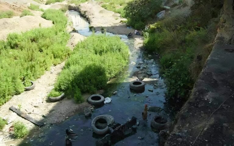 WhatsApp Image 2025-08-03 at 20.53.31