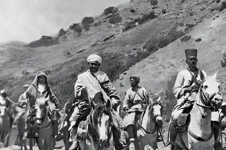 1c52af5f-f493-410f-b3d6-dcfe73f56486