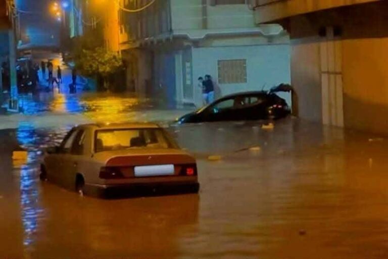 85f3689a-5f55-4c9d-848f-e4ceac1350a3