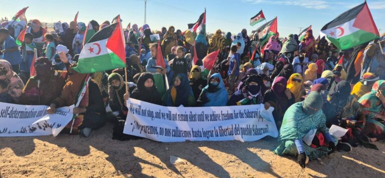 FB_IMG_1761571467477